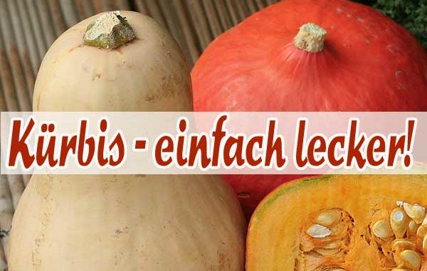 Kürbisrezepte Kürbisrezepte