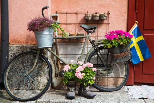 Fahrrad
