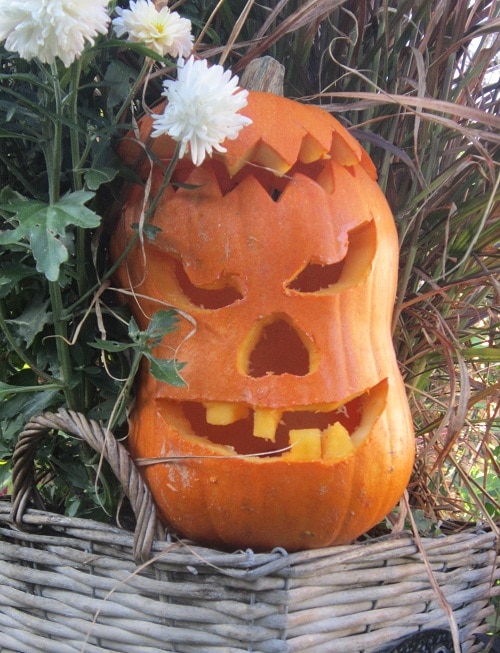 Kürbiskopf für Halloween