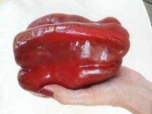 Paprika, Gemüsepaprika, Gemüse, Gartenzeitung.com