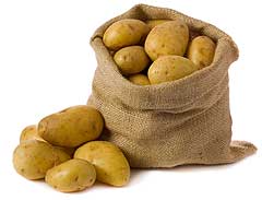 Kartoffeln ernten