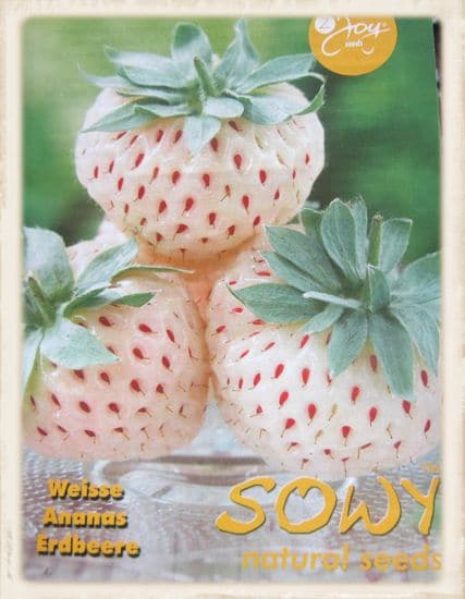 Weiße Erdbeeren 
