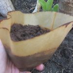 Kaffeesatz als Blumendünger
