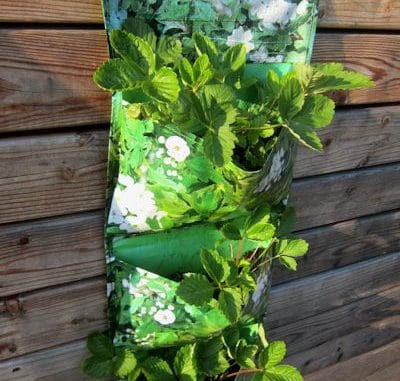Pflanztaschen für Salate und Erdbeeren