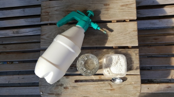spritzen, Gift, biologisch, Blattläuse, Gartenzeitung.com