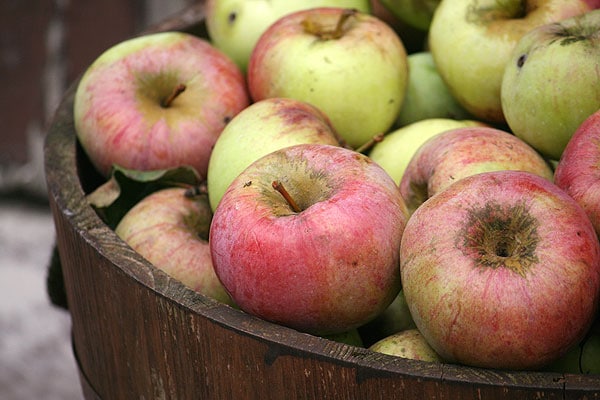 Apfelernte, Bratäpfel aus überschüssigen Äpfeln herstellen