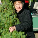 Einen traumhaften Christbaum kaufen