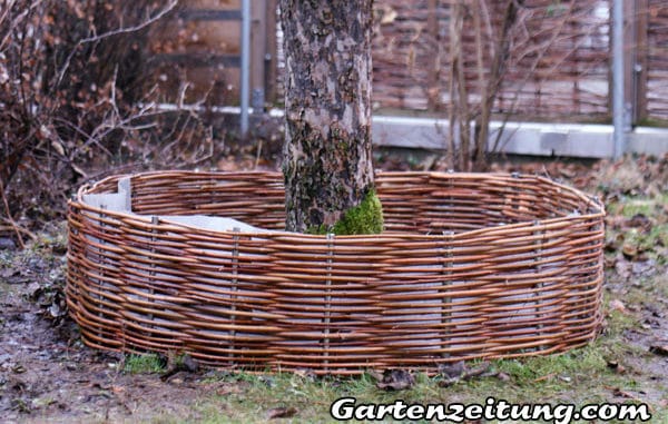 Hochbeet, Baum umflechten mit Weidenzaun