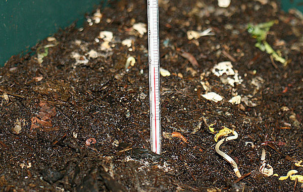 Die richtige Temperatur ist wichtig für die Kompostwürmer