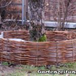 Hochbeet, Baum umflechten mit Weidenzaun