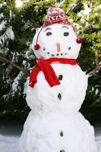 Schneemann / Shutterstock.com