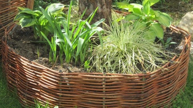 Weidenrondell selbst geflochten / Gartenzeitung.com