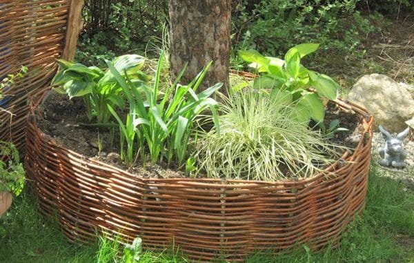 Weidenrondell selbst geflochten / Gartenzeitung.com