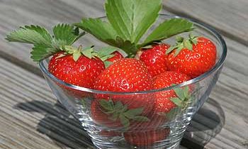 Erdbeeren 