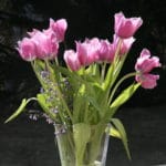 Tulpen in der Blumenvase