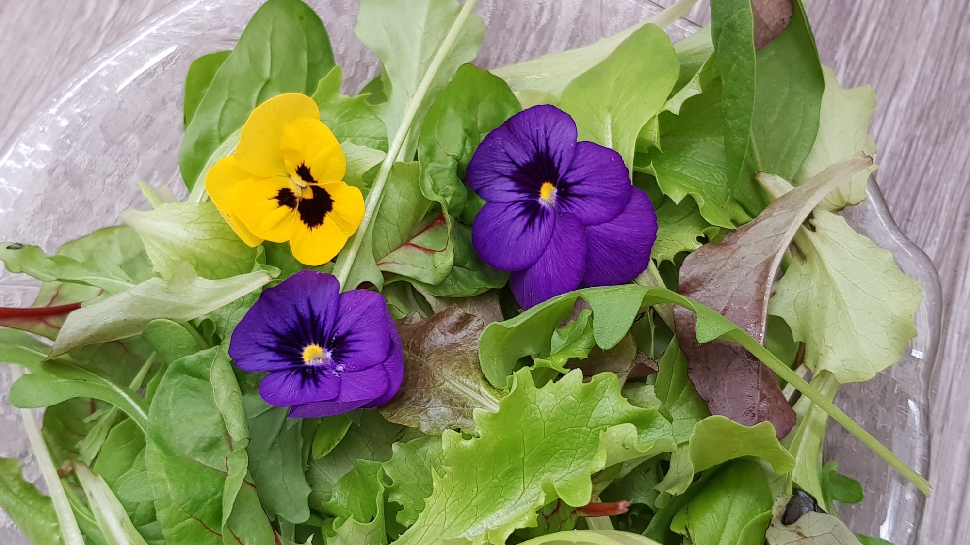 Essbare Blüten