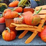 Kürbisse im Herbst