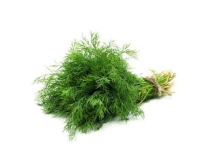 dill