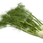 Fenchel mit Fenchelkraut