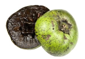 Schwarze sapote