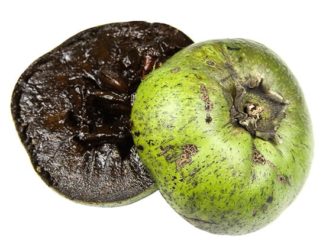 Schwarze sapote