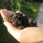 Gartenboden, Gartenerde