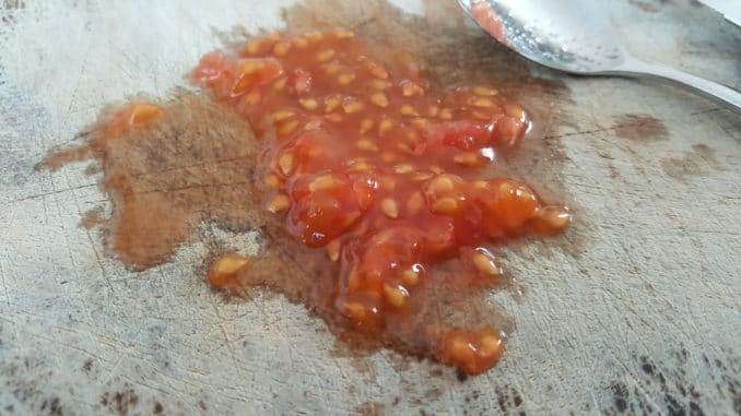 Frische Tomatensamen