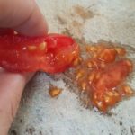 Tomatensamen, Saatgut gewinnen