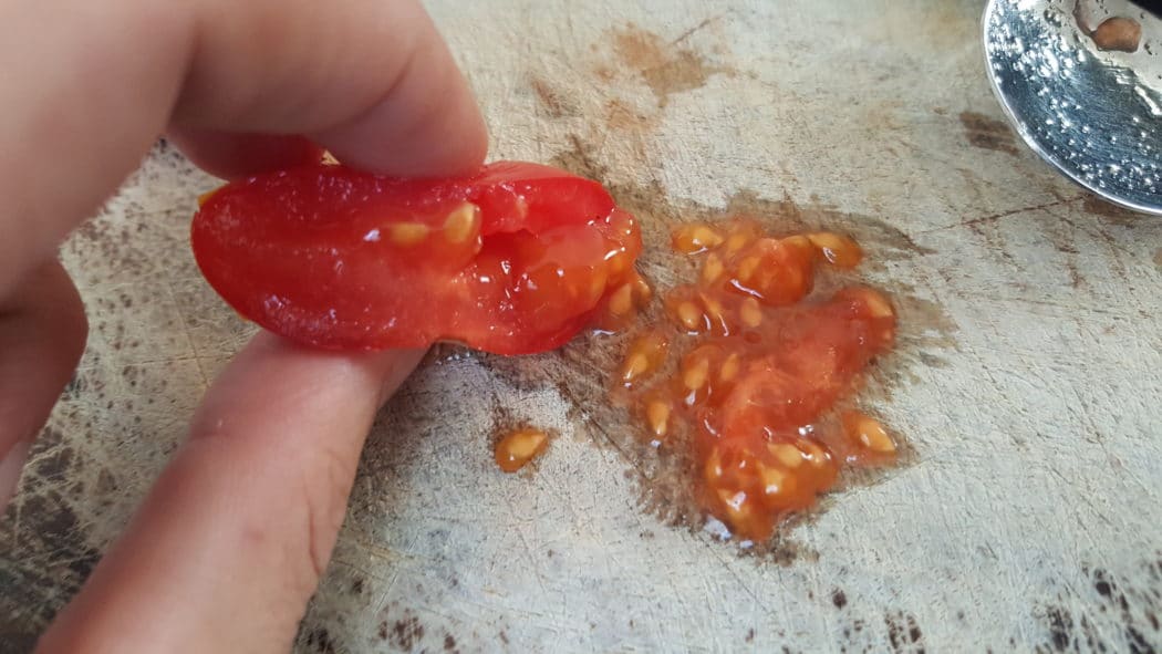 Tomatensamen können auch selber gewonnen werden