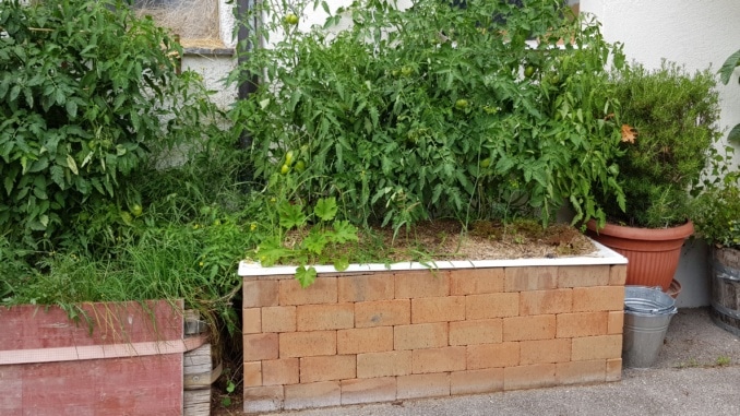 Badewanne, Wanne, Kräuter, Tomaten, Gartenzeitung.com Badewanne, Wanne, Kräuter, Tomaten, Gartenzeitung.com