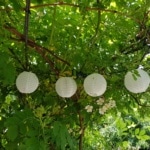 Licht, Beleuchtung, Solar