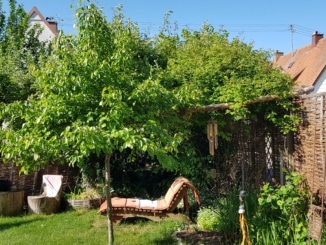 Liege, Garten, Wiese