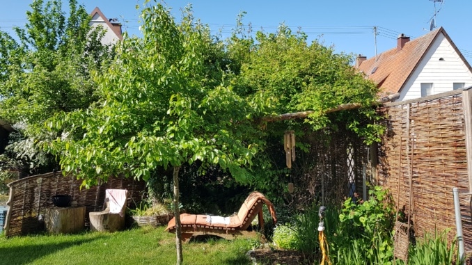 Liege, Garten, Wiese Liege, Garten, Wiese