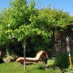 Garten, Pergola, Liege, Baum, Gartenzeitung.com