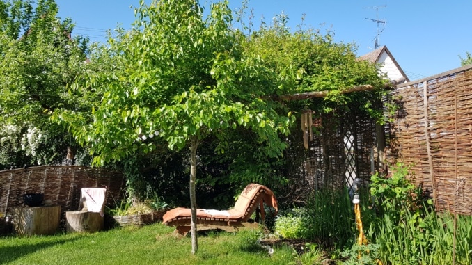 Garten, Pergola, Liege, Baum, Gartenzeitung.com Garten, Pergola, Liege, Baum, Gartenzeitung.com