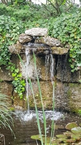 Teich, Wasser, Wasserfall, Gartenzeitung.com