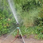 Bewässerung, Wasser, Trockenheit, giessen, Gartenzeitung.com