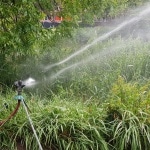 Bewässerung, Wasser, Trockenheit, giessen, Gartenzeitung.com