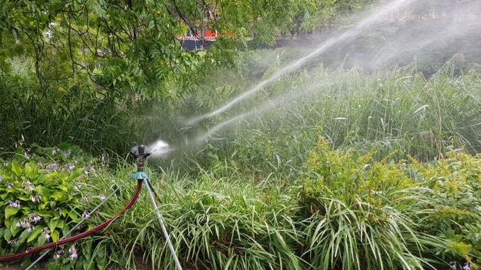 Bewässerung, Wasser, Trockenheit, giessen, Gartenzeitung.com
