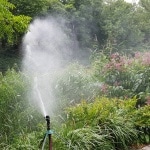 Bewässerung, Wasser, Trockenheit, giessen, Gartenzeitung.com
