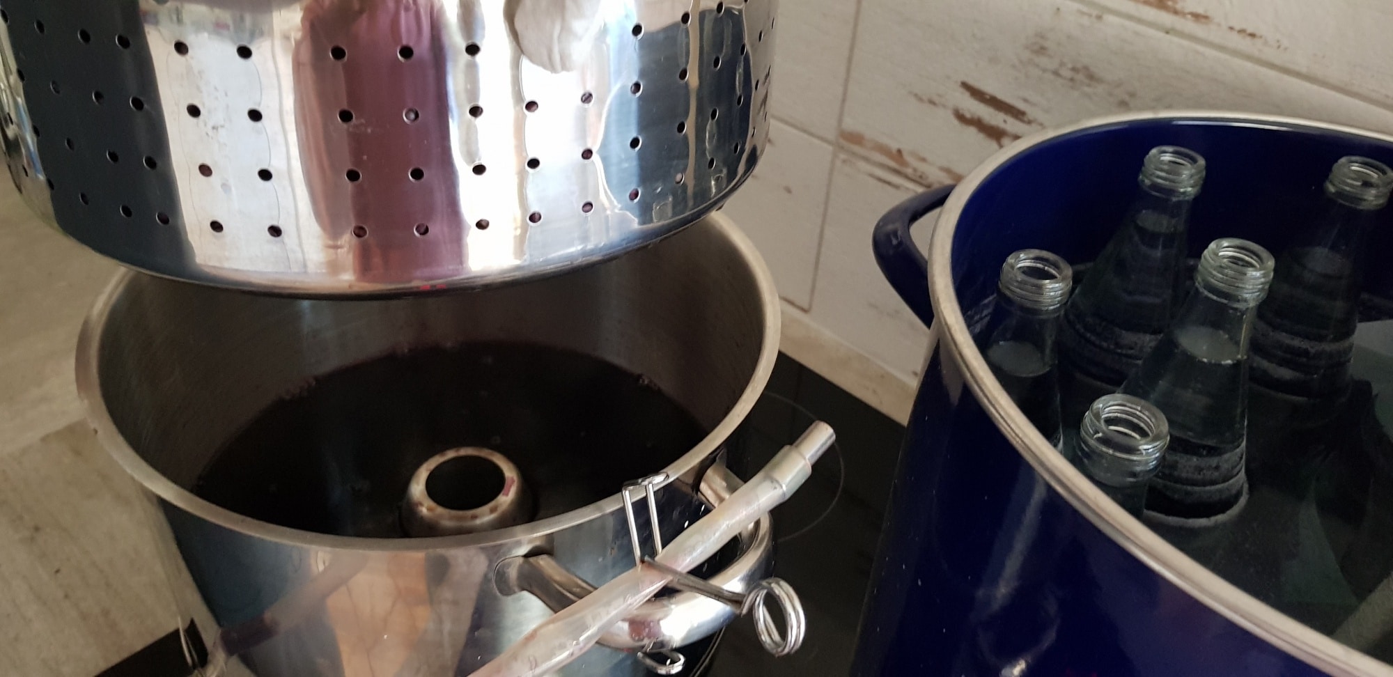 Früchte mit dem Dampfentsafter entsaften
