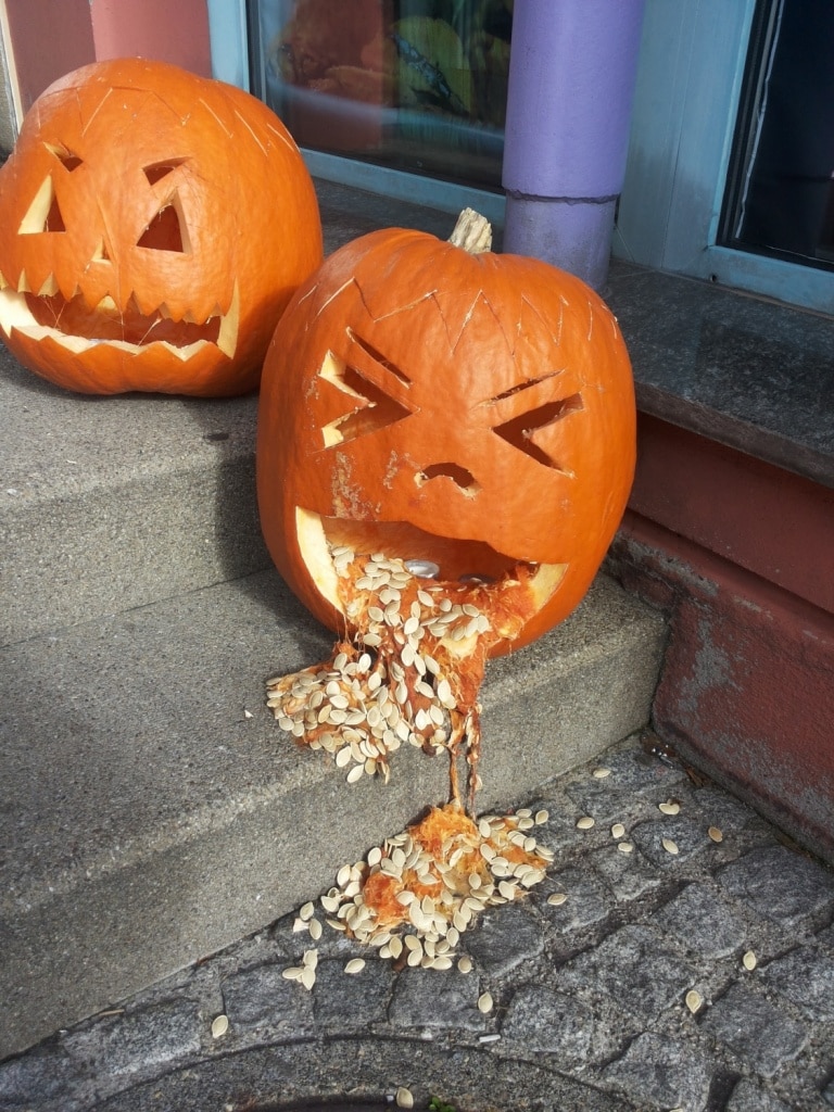Kürbis, Halloween, schnitzen, Kürbisse, Herbst, Gartenzeitung.com