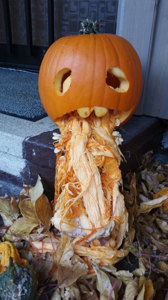 Kürbis, Halloween, schnitzen, Kürbisse, Herbst, Gartenzeitung.com
