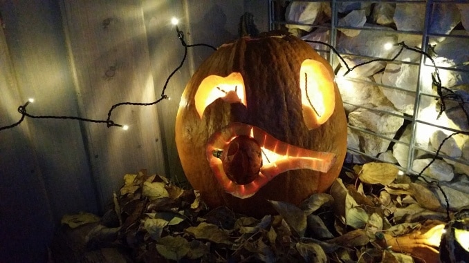 Kürbis, Halloween, schnitzen, Kürbisse, Herbst, Gartenzeitung.com Kürbis, Halloween, schnitzen, Kürbisse, Herbst, Gartenzeitung.com