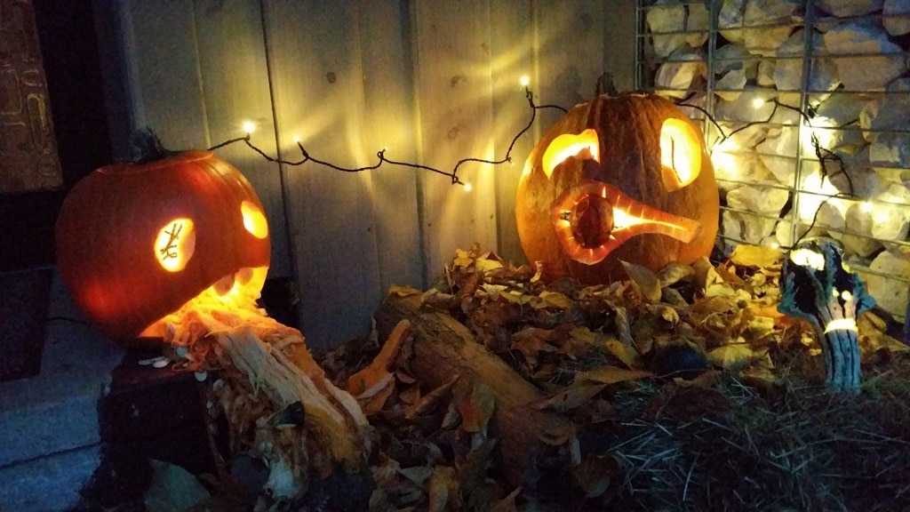 Kürbis, Halloween, schnitzen, Kürbisse, Herbst, Gartenzeitung.com