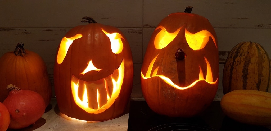Kürbiskopf, Kürbisfratze, Halloween, Kürbis, Gartenzeitung.com