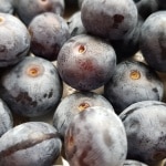 Heidelbeere, Blaubeere, Gartenzeitung.com