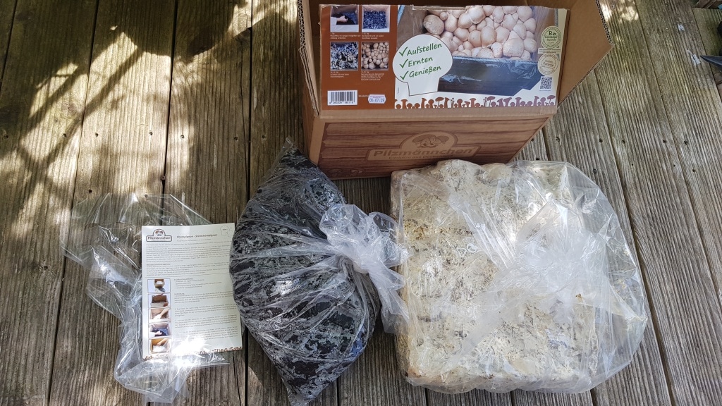 Pilzbox, Pilze, Champignons, Steinchampignons, Gartenzeitung.com