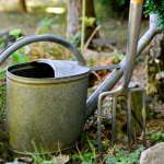 Garten, Bild von congerdesign auf Pixabay