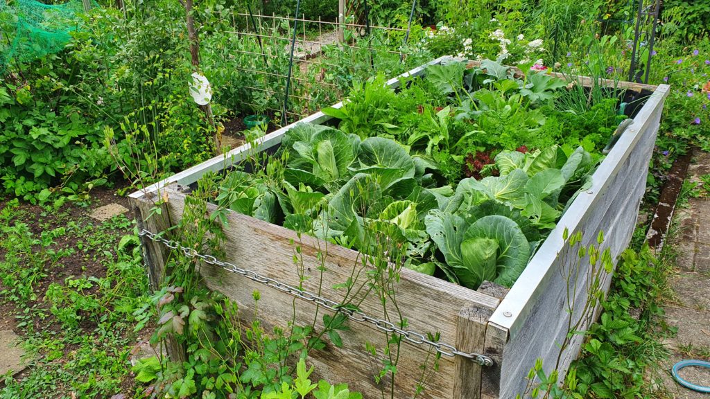 Hochbeet, Schrebergarten